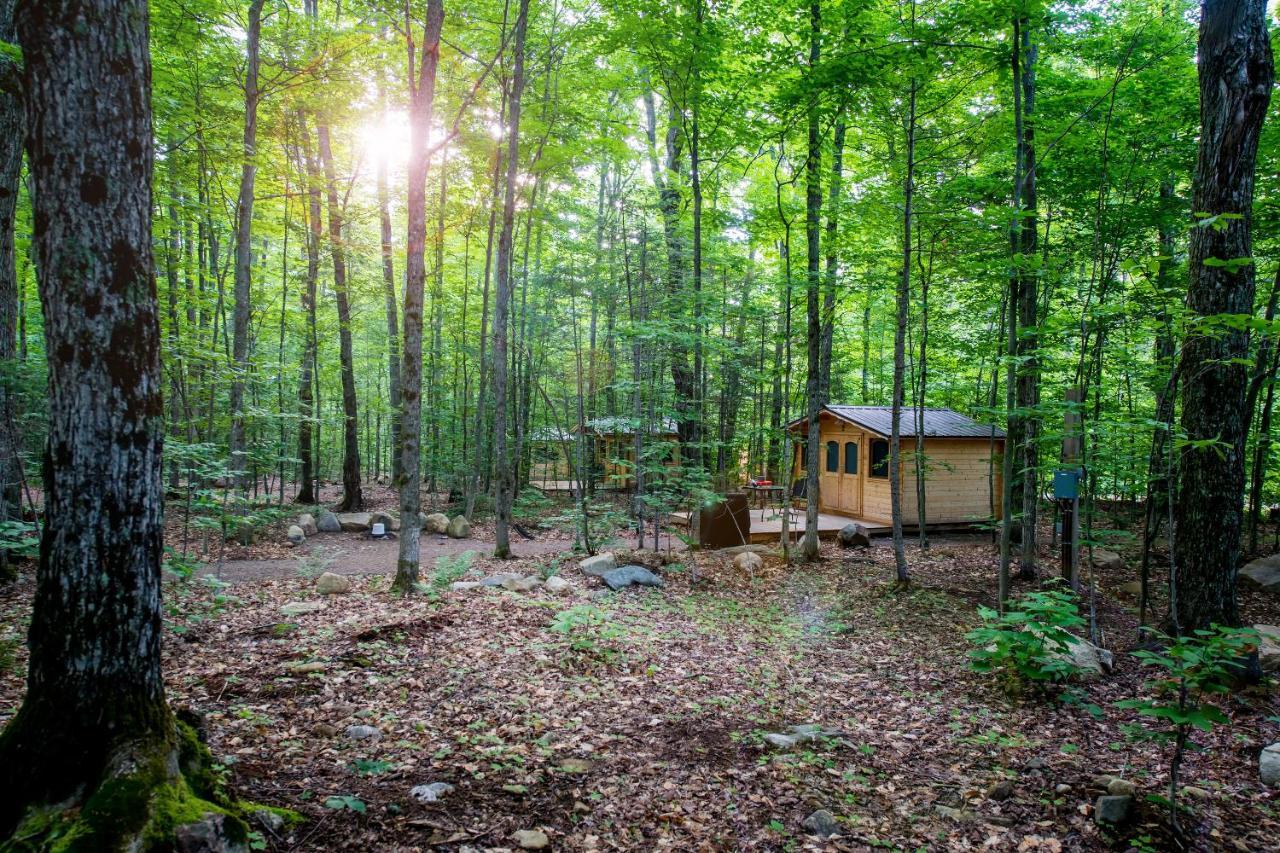 Madawaska Lodge-Cottage ภายนอก รูปภาพ