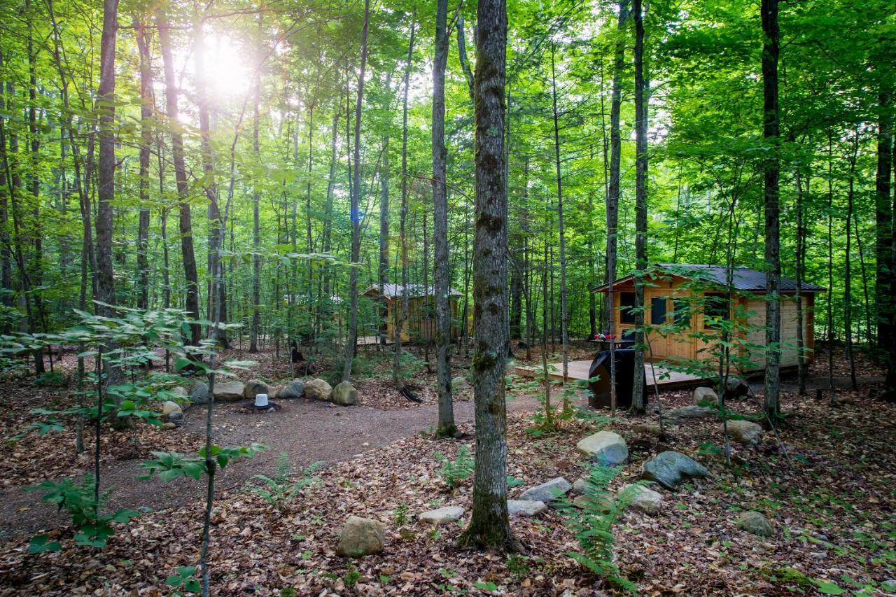 Madawaska Lodge-Cottage ภายนอก รูปภาพ