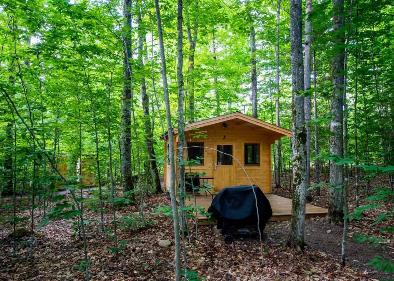 Madawaska Lodge-Cottage ภายนอก รูปภาพ