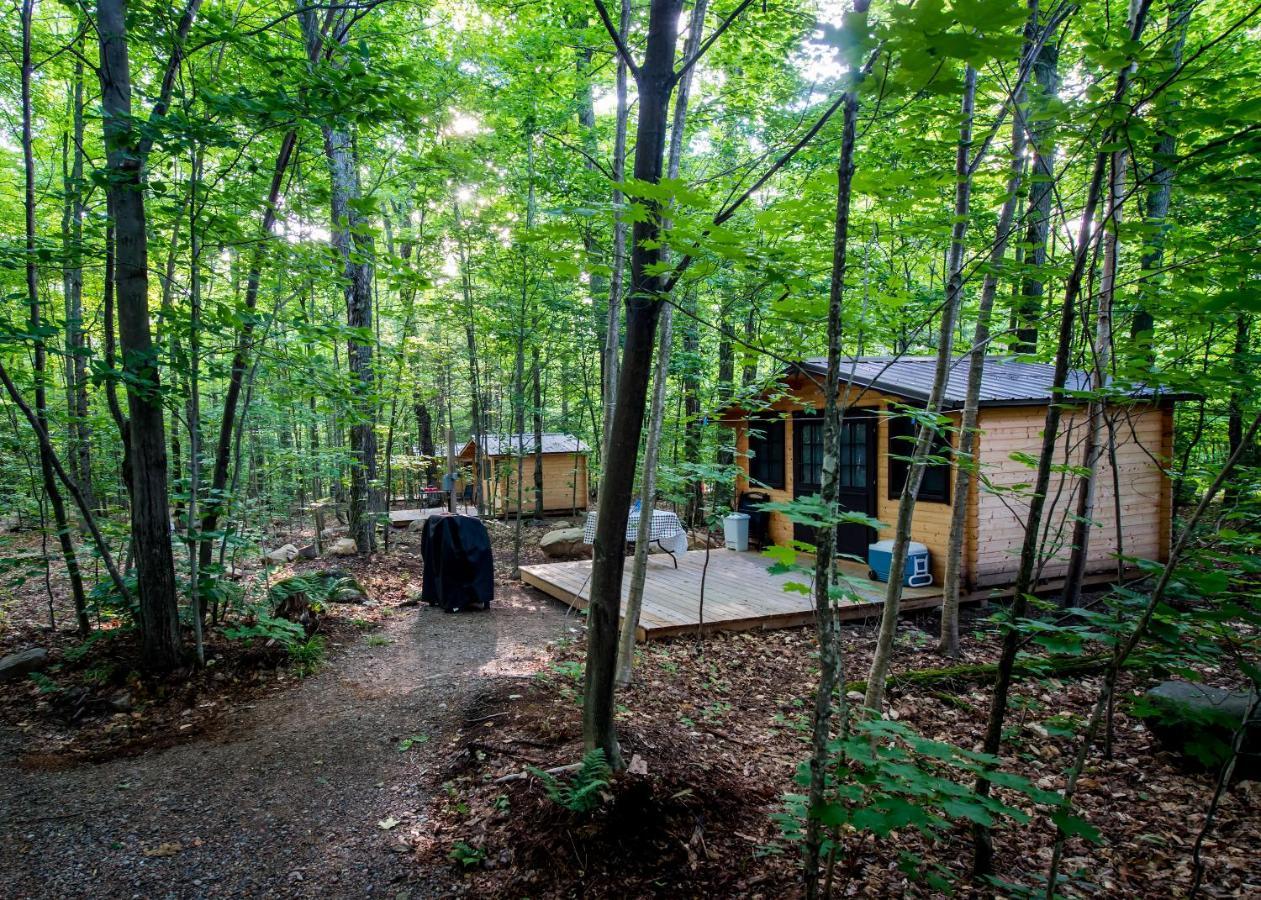 Madawaska Lodge-Cottage ภายนอก รูปภาพ